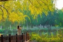 188足球比分-188足球比分，足球迷的实时资讯与情感纽带