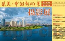 世界杯猫预测-世界杯猫预测，萌宠的智慧与趣味