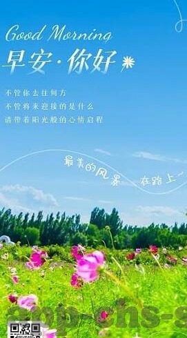 足球比分直播t老板-探秘足球比分直播T老板，幕后操盘手如何玩转绿茵场数字江湖？